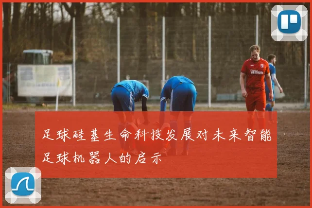 足球硅基生命科技发展对未来智能足球机器人的启示