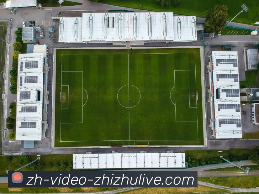 蜘蛛直播发展历程